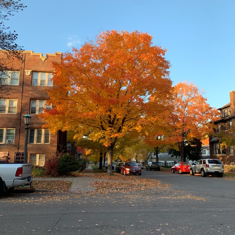 Meet your Posher, Leah